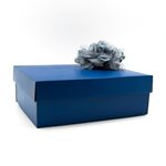 Rectangle Box - Blue - 265mm W x 330mm L x 112mm H