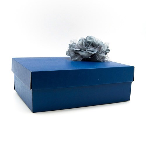 Rectangle Box - Blue