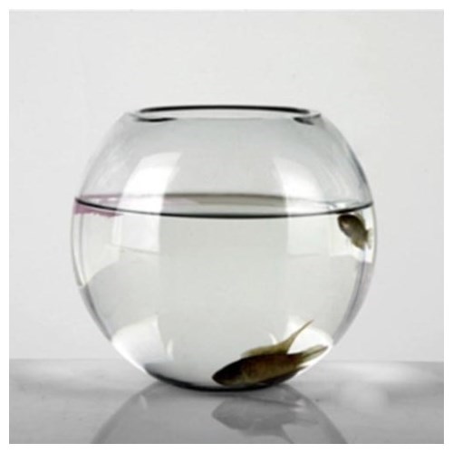 Fish Bowl (Small)