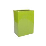 Ceramic Rectangle - Lime