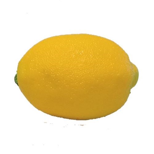 Artificial Lemon 70x100mmD