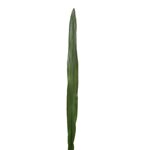 Art. Narrow Leaf - 64cm Long - Green