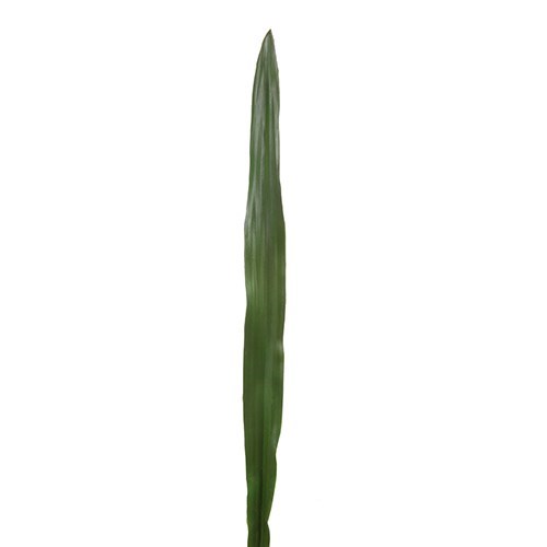 Art. Narrow Leaf - 64cm Long
