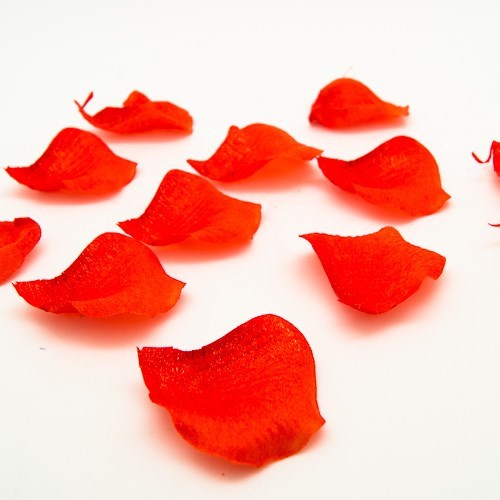 Art. Rose Petals 5cm Dia (80pc