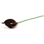 Single Stem Calla 38cm Long - Black 380mmL