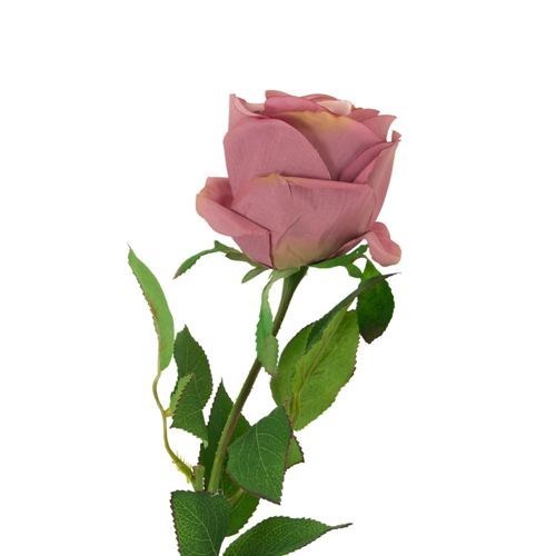 Garden Rose Stem 65cm