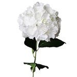 Hydrangea Stem 55cm - White