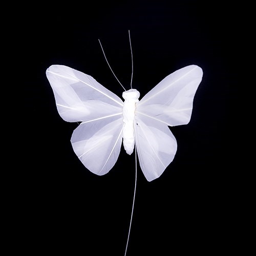 White Feather Butterfly 14 x 9cm - 6 pcs