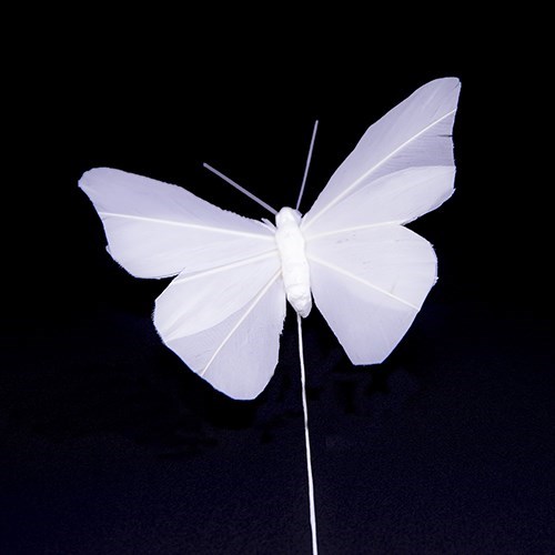 White Feather Butterfly 10 x 7cm - 6 pcs
