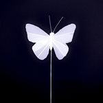 White Feather Butterfly 8 x 5cm - 6 pcs