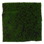 Art. Moss Square 30cm Square - Green