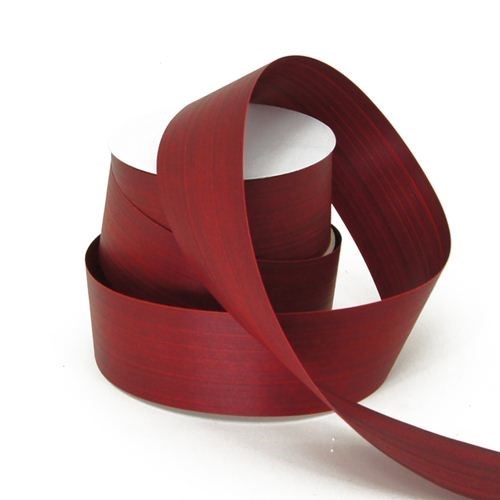 Aspidistra Leaf Ribbon - Red