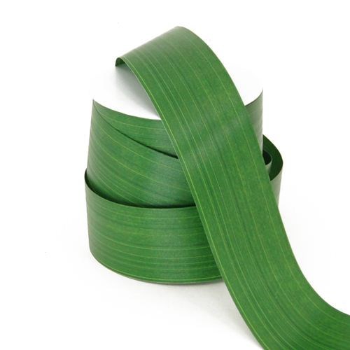 Aspidistra Leaf Ribbon - Green