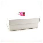 Rectangle Box - White - 265mm W x 330mm  L x 112mm H