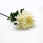 Standard Chrysanthemum Stem - White