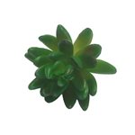 Succulent Stem - 75mm x 60mmH