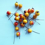 Berries Orange 10mm 200pcs/pk