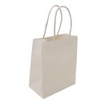 Kraft Carry Bags Mini (10pk) - White 130x75x160mmH