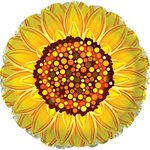 Graphic Sunflower - Packaged Helium 17