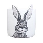 Cement Pot Small - Rabbit Ears 11x11x12cm