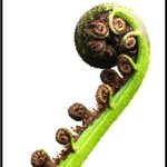 Small Gift Card - 7cm x 9.5cm
