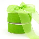 Edged Organza - 38mm x 50m - Lime