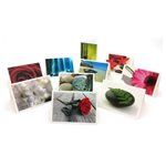 Assorted Gift Cards - 100 Pack