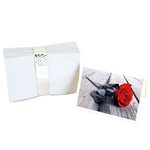 White Envelopes - 100 Pack